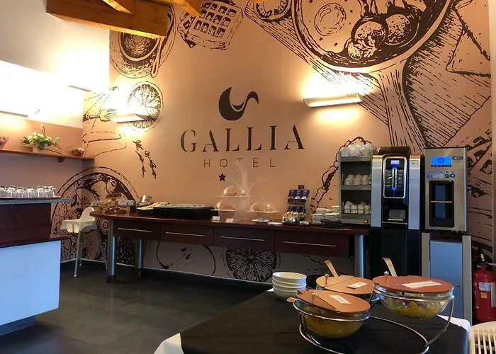 Hotel Gallia 3*